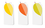Autumn Leaves Infographic Templates for Business Vector Illustra
