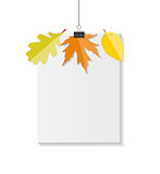 Shiny Autumn Natural Leaves Background. Vector Illustration