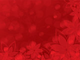 red valentine floral background