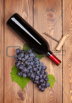 Red wine bottle and bunch of red grapes