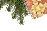 Christmas gift box and fir tree