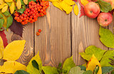 Autumn leaves, rowan berries and apples over wood background