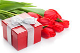 Fresh red tulips with gift box