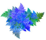Frosty pattern fractal dynamic asymmetric