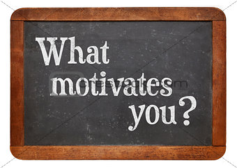 What motivates you ?