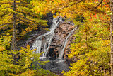 Mary Ann Falls in the fall