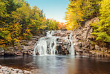 Mary Ann Falls in the fall
