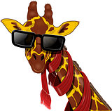 giraffe in sunglasses