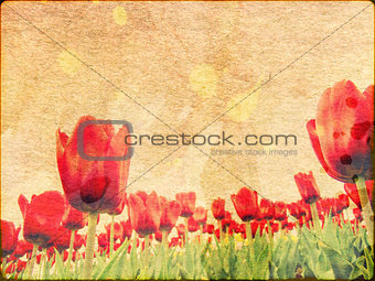 Tulips on Stained Paper