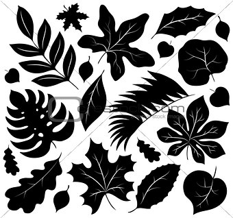 Leaves silhouettes collection 1