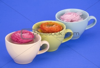 Flower cups.