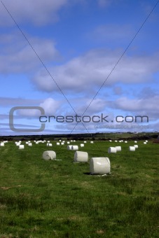 field of bales ii