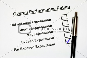 Overall Performance Rating Form 3
