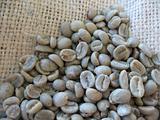 Green Coffee Beans in Burlap Sack