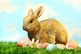 Little brown rabbit in the grass