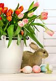 Pot of tulips with rabbit