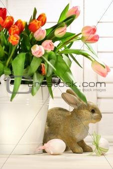 Rabbit hiding behind a container of tulips