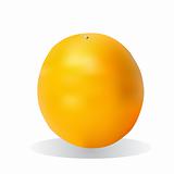 Bright orange fruit