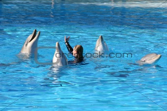 four dolphins and girl