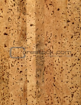 large image of cork texture