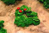 Holly Wreath Cookie