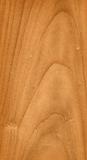 wood natural texture