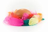 egg and colored feathers