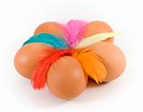 five eggs and colored feathers