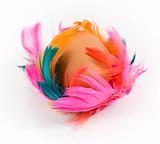 egg and colored feathers