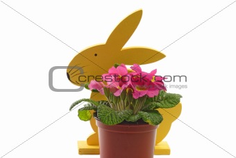 Easter bunny with flowers
