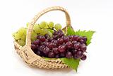 Basket with Grapes