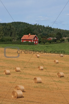 Swedish landscape with typical red house