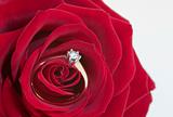 Engagement rose