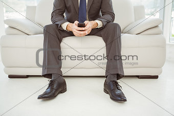 Low section of businessman text messaging