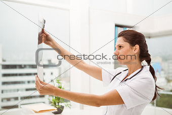 Female doctor examining x-ray in medical office