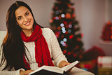Pretty brunette reading on couch at christmas