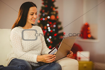 Pretty brunette shopping online at christmas