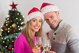 Happy couple enjoying some wine