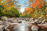 Foreat stream in the fall