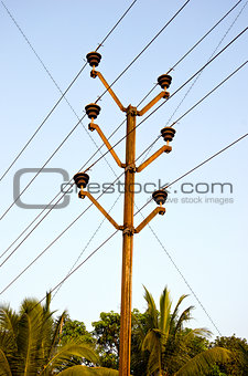 electric pole and palm tree in asia