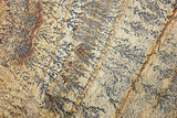 Intricate fern-like markings on sandstone