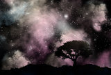 Tree silhouette against a starfield sky