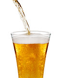 glass of light beer set isolated on a white background