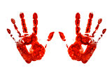 bloody hand prints isolated on white background