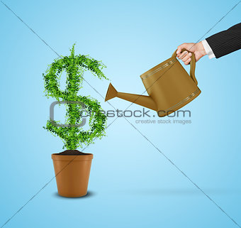 Businessman and watering pot (path in side)
