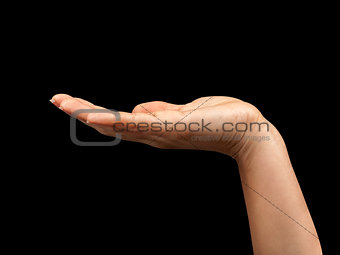 Empty open hand on a black background
