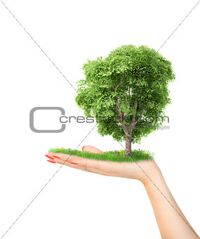 Eco concept. Hand of nature holding a big tree.