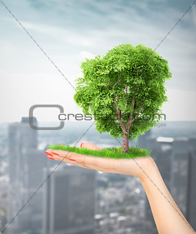 Eco concept. Hand of nature holding a big tree.