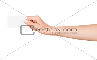 Female hand holding a blank business card