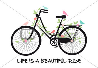 Bicycle with birds and flowers, vector 